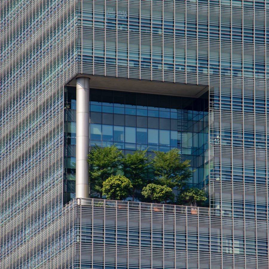 Some caption text here