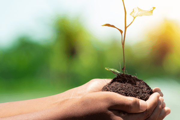 Earth Day 2022: How emerging brands embrace sustainability