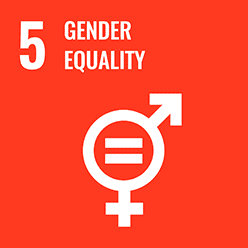 social development goals - gender equality