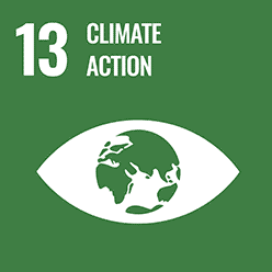 social development goals - climate action