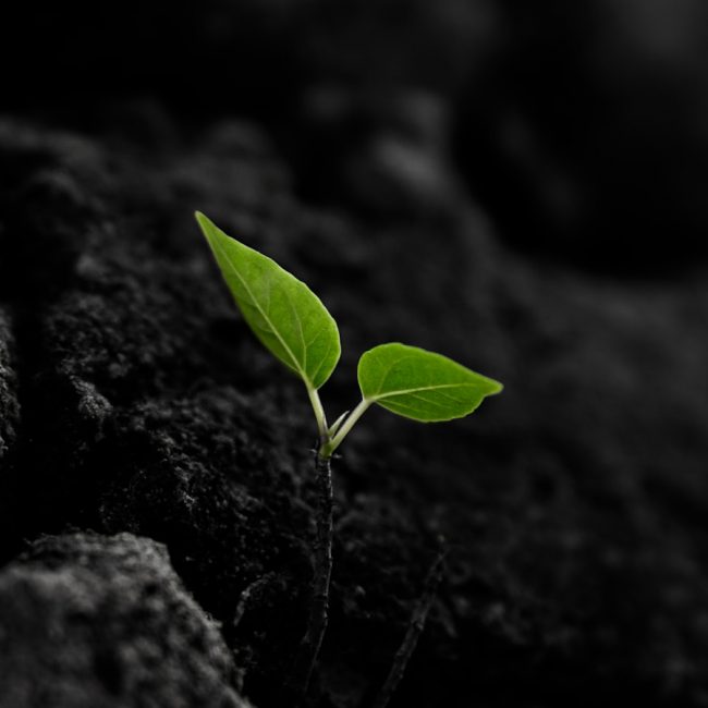 Earth Day