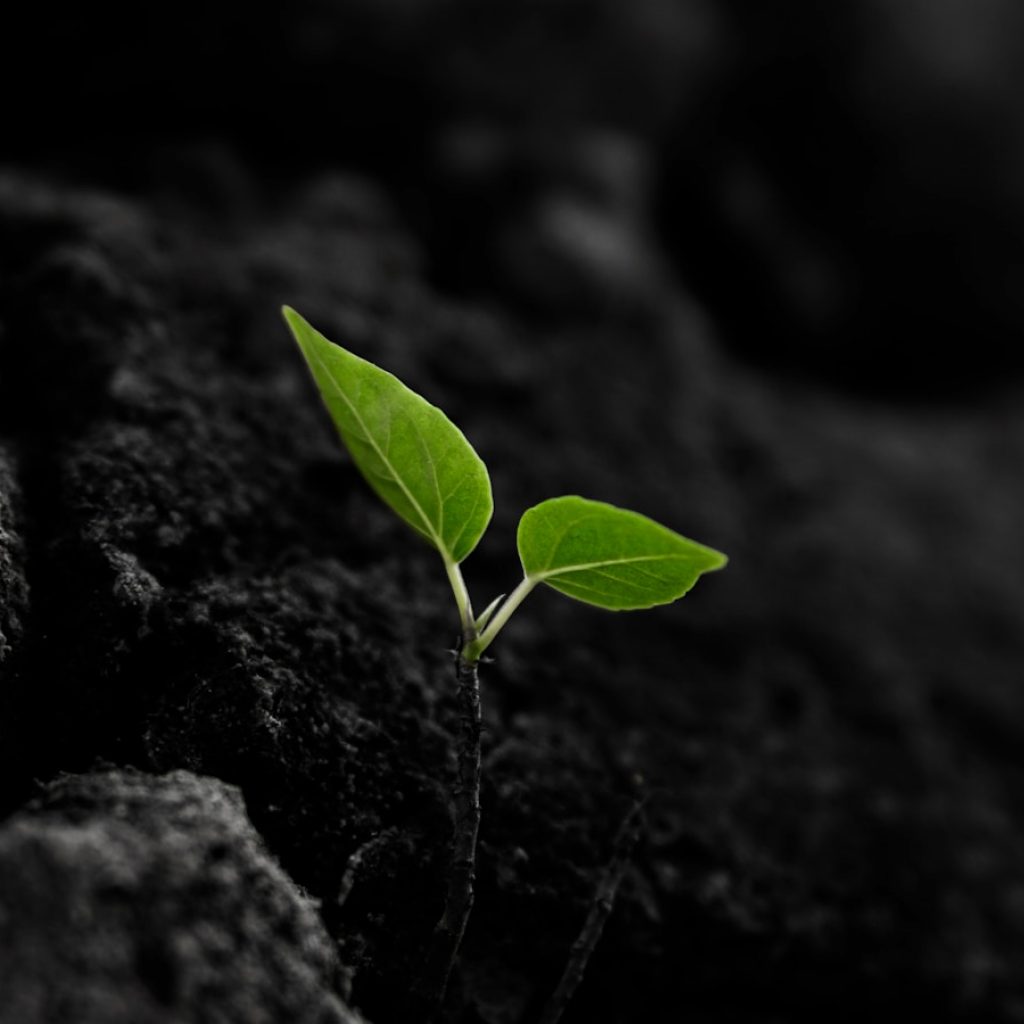 Earth Day